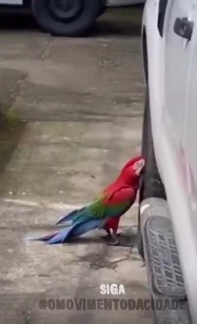 Thats why your tires are deflated