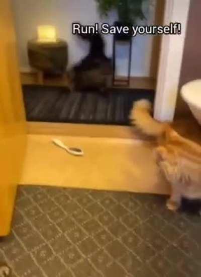 They found out and got did.