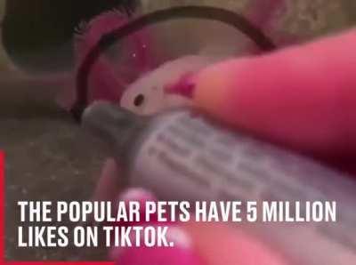 Well that’s bloody adorable