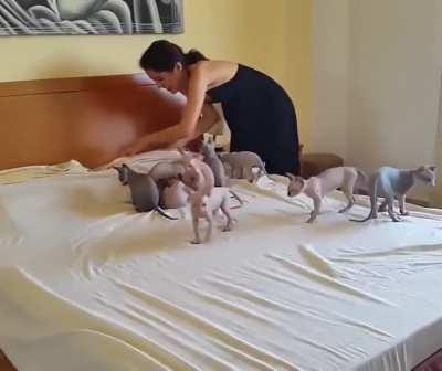 It's hard to get the wrinkles out of the sheets...but why would you want to?