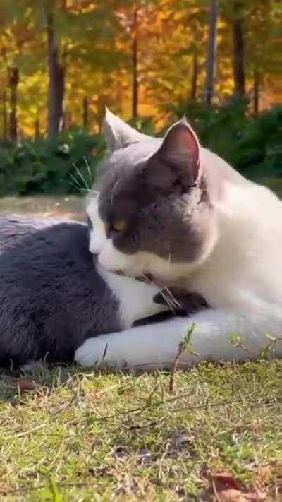 Taking care of each other