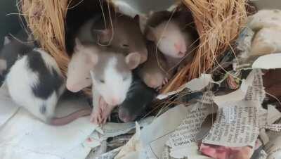 19 days old and exploring the world!