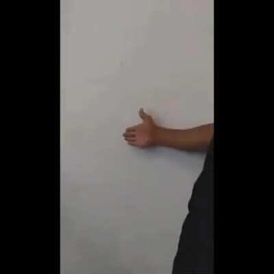 Será que é o saitama BR ???