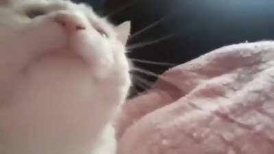 Hold On after 115 seconds