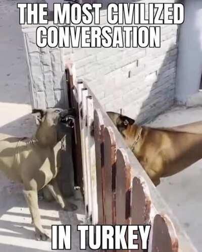 i in turkey stands for intelligence