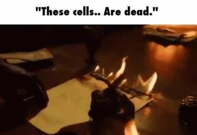 dead cells is a good game