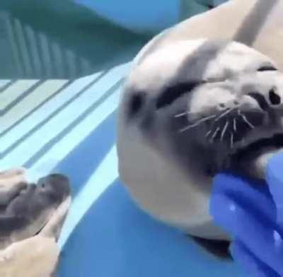 When the snack was just too good