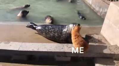 Me vs Me. We're both GD adorable too, but there can only be one.