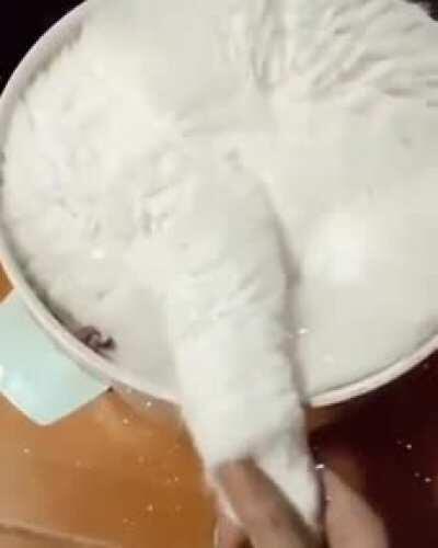 Forbidden Ice cream