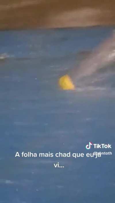 O poder da mae natureza