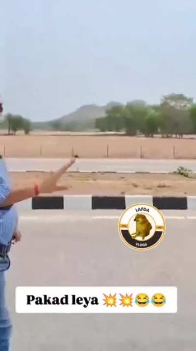 Caught in 4k on 4 lanes