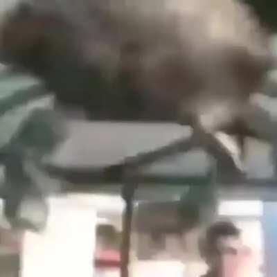 Grabando un video mas increíble del mundo