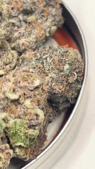 green lantern x runtz— one of my recent favorite smokes…limey, creamy candy with a balanced high to follow. green lantern= green crack x white rhino. old school with the new 