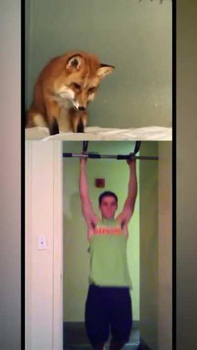 That didn’t work out (OC)