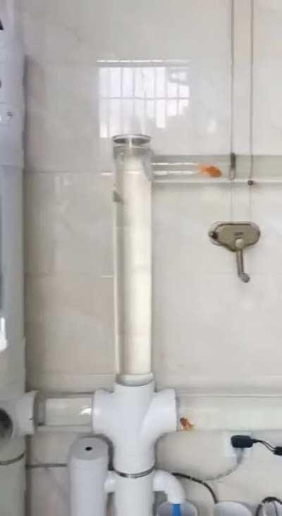 Весьма необычная идея для аквариума - не правда ли?