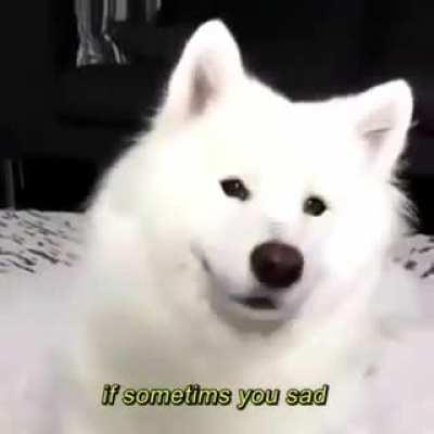 Remember, floof doge believes in you