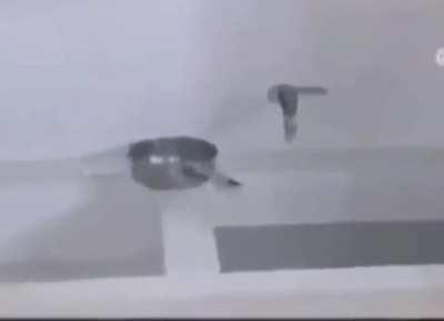 He just likes to eat