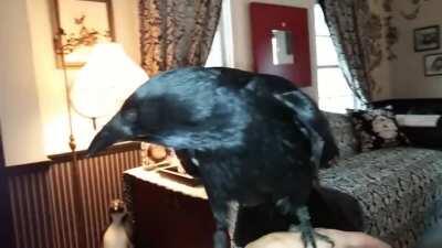 Imagina você andando na rua e escuta 