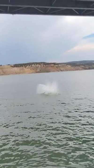 my buddy jumping off a 70 foot bridge points if you know the bridge
