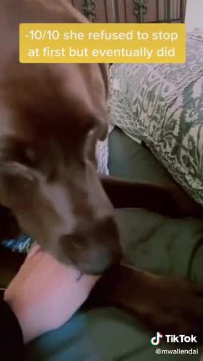 Still a good doggo if you ask me