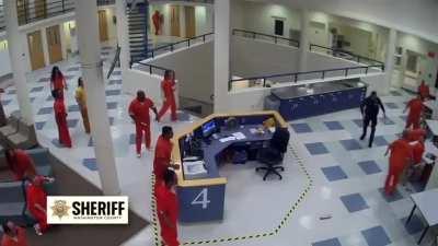 What a reaction time