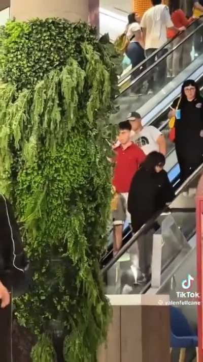 Alguien sabe algo de este video?