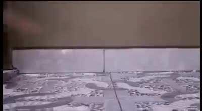 Com determinação conseguimos o que queremos