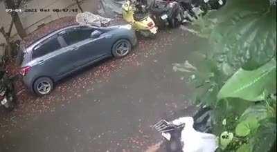 Throwing a stone at a stray dog and immediately getting bitten