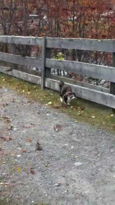 Could chase the wind forever