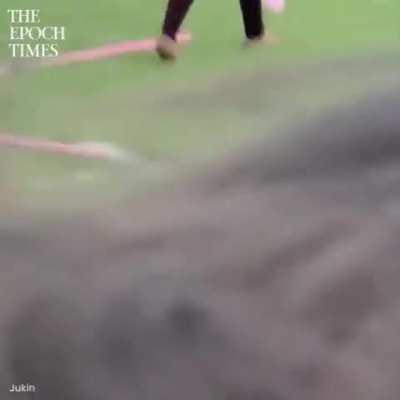 Man protects band from field sprinkler 