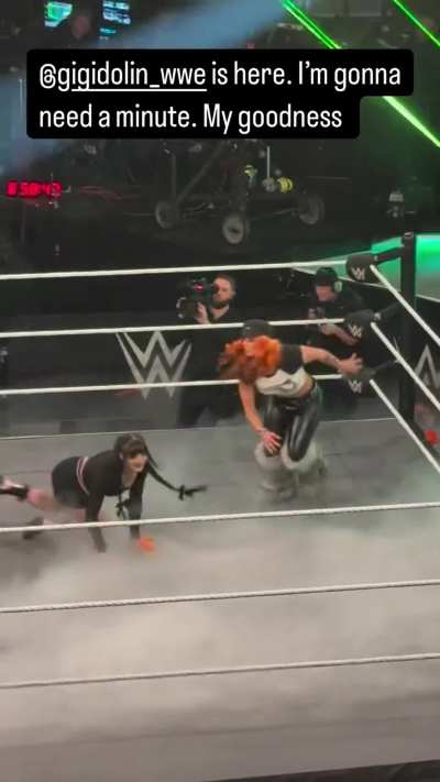 Last night's NXT entrance from the crowd's POV