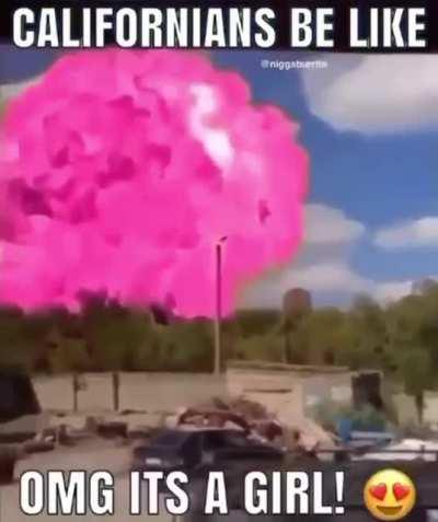 Posting random videos from my phone until I buy a new home button - day 157