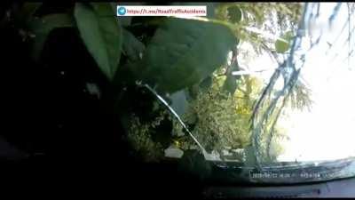 Bad luck for everyone on Sakhalin