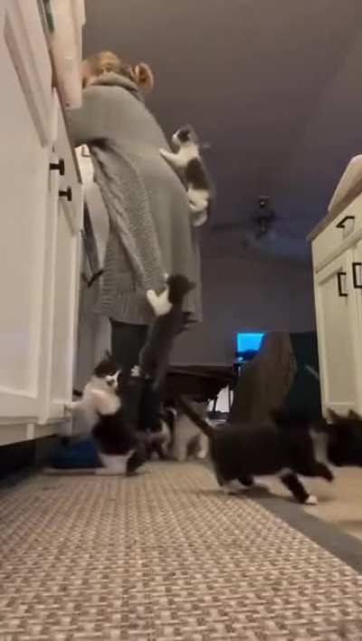 ¡Qué hambre tienen los pequeñines!