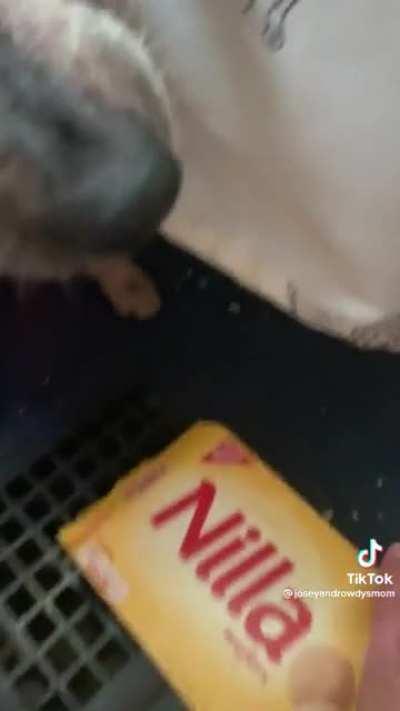 Snitching on his brother