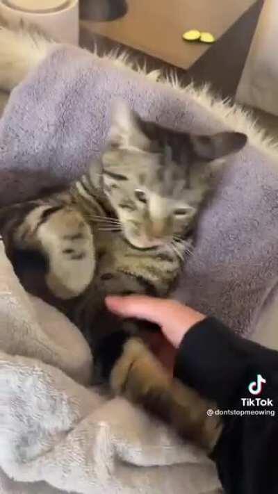 Spa day, you’re not invited.