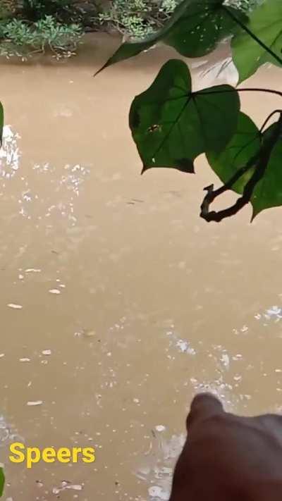 Online reminder about the likes of brown rivers where you can't see the bottom (Source: bang speers)