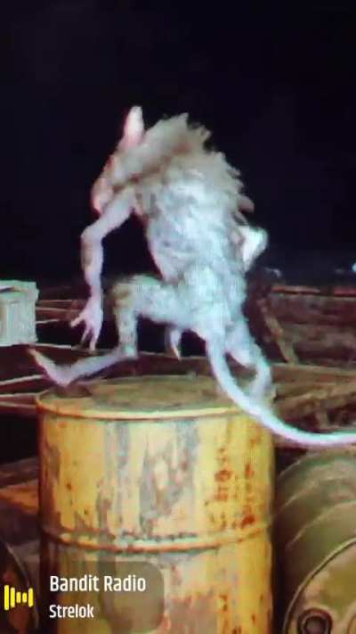 Encountered this happy little guy in the Zone.