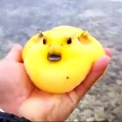 I'm 15 and this is yeet