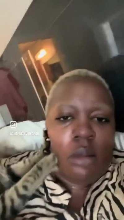 This is my life meow…