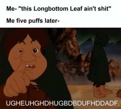 Nothing like the Halflings' leaf