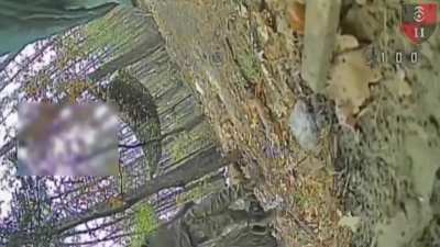 Remote detonation of Ukrainian FPV drone near a group of russian soldiers. Soledar direction. 30th Mechanized Brigade. Oct 2025. Published 28.10.2025