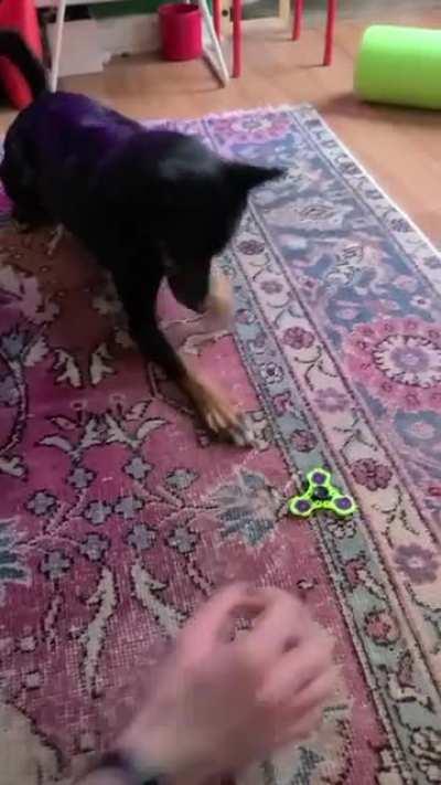 She gets really jazzed about fidget spinners 🤷‍♀️