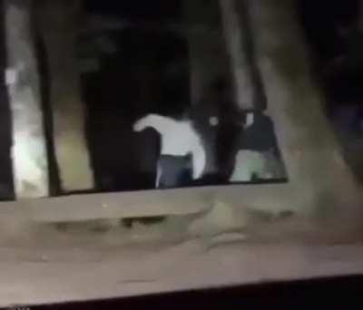 Eu e os rapazes indo matar o mucalol depois da quarentena 🤡🔪🤡🔪😎👌