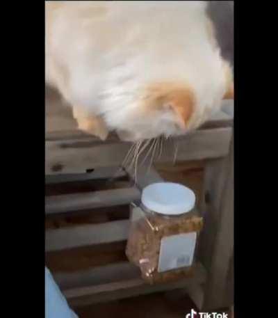 He’s very polite and direct