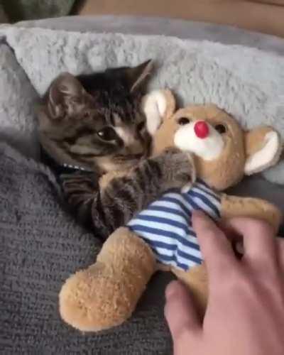 Why they are so ADORABLE??!!!