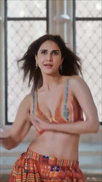 Vaani Kapoor perfect curves