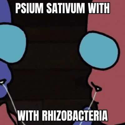 Wholesome mutualistic relationship