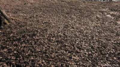 This place is going Disso-Delic