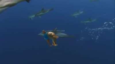 Turns out you can play baseball in Cyberpunk - Shooting Stars Version | u/OmegaReu